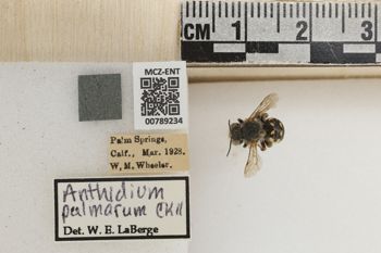 Media type: image;   Entomology 789234 Aspect: Labels